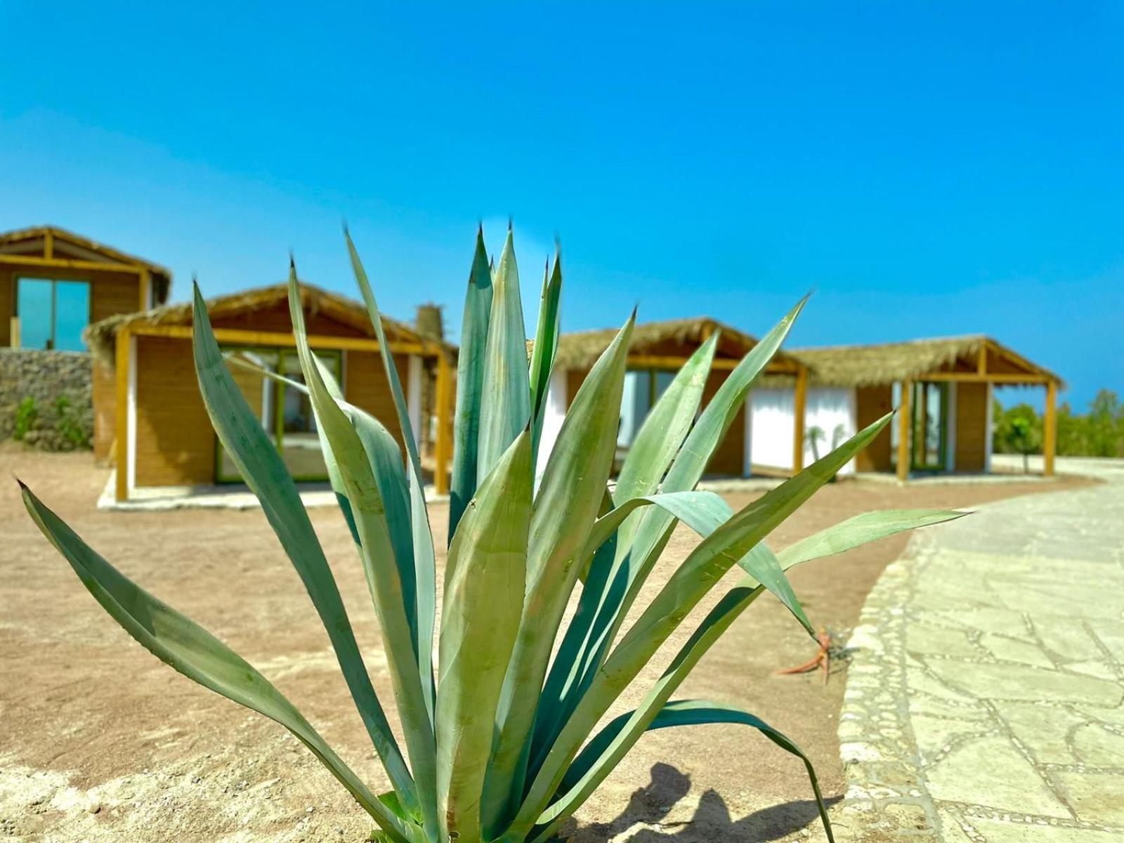 Ananda Beach Camp Nuweiba Exterior photo